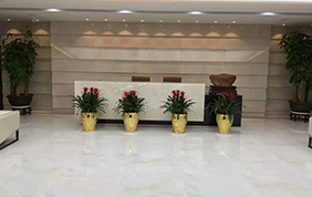 某家金融公司辦公場(chǎng)所實(shí)拍